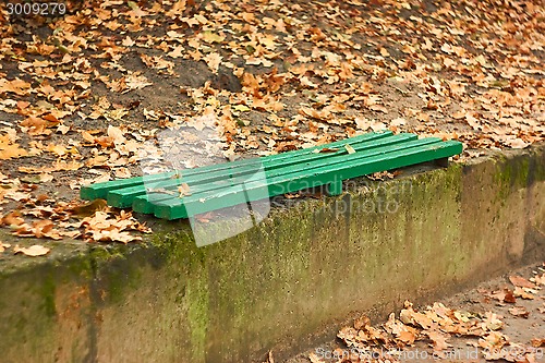 Image of Green wooden bench among autumn leaves