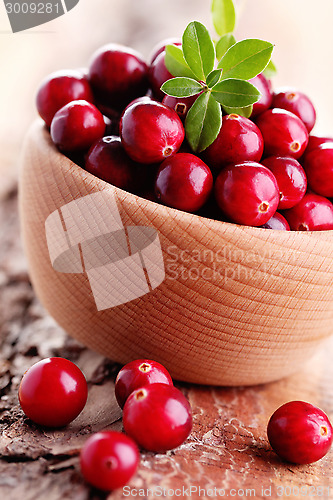 Image of cranberries