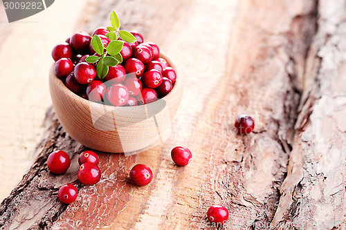 Image of cranberries