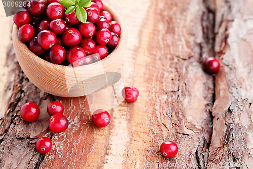 Image of cranberries