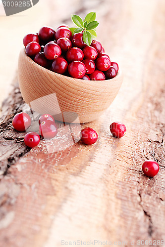 Image of cranberries