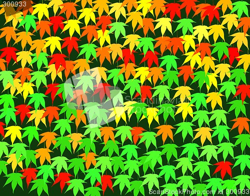 Image of Maple seasons