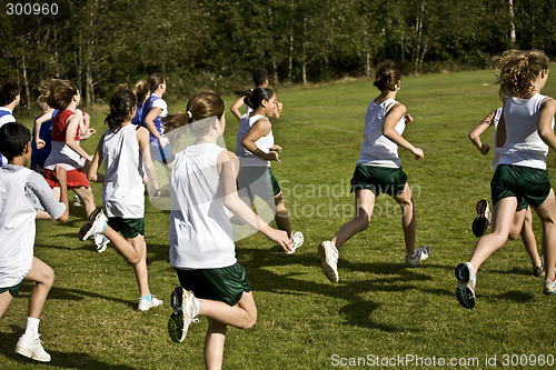 Image of Cross Country Runners Leave the Starting Line