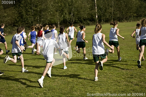 Image of Cross Country Runners Leave the Starting Line