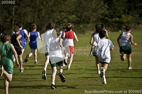Image of Cross Country Runners Leave the Starting Line