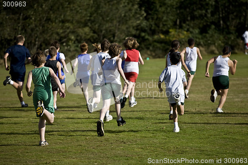 Image of Cross Country Runners Leave the Starting Line