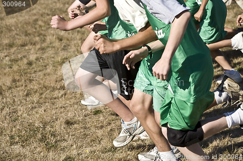 Image of Cross Country Runners Leave the Starting Line