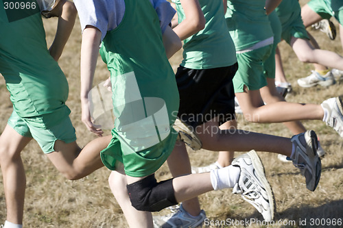 Image of Cross Country Runners Leave the Starting Line