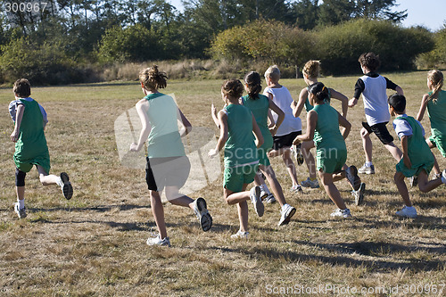 Image of Cross Country Runners Leave the Starting Line