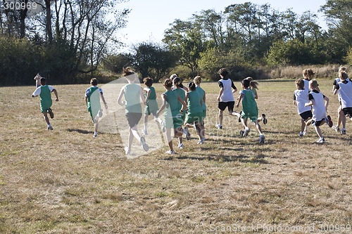 Image of Cross Country Runners Leave the Starting Line