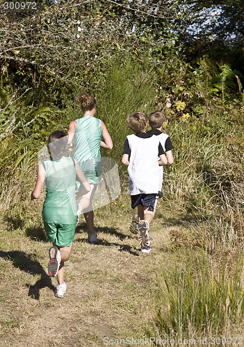 Image of Cross Country Runners on a Wooded Trail