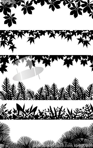 Image of Plant borders