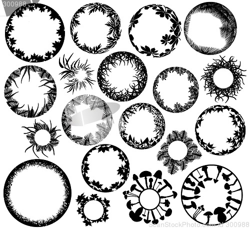 Image of Plant rings