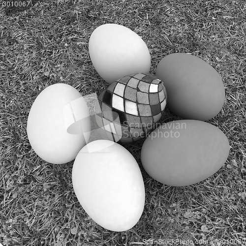 Image of Eggs and easter eggs on the grass