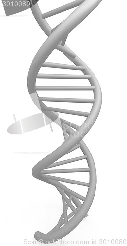 Image of DNA structure model