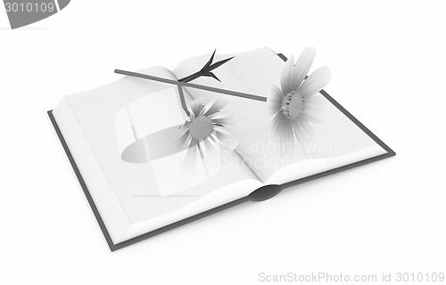 Image of Wonderful flower cosmos and book