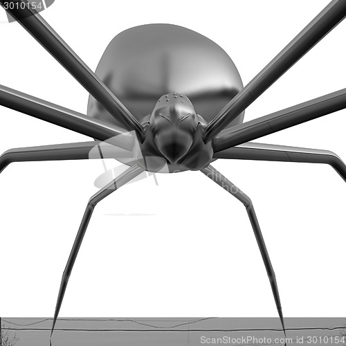 Image of chrome spider.Close-up