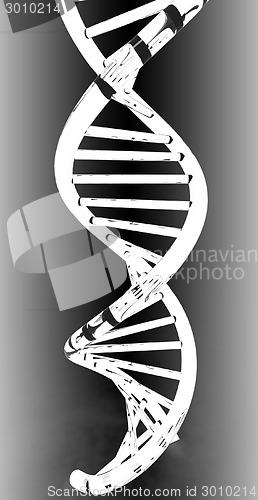 Image of DNA structure model
