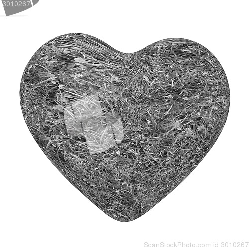 Image of 3d grass heart