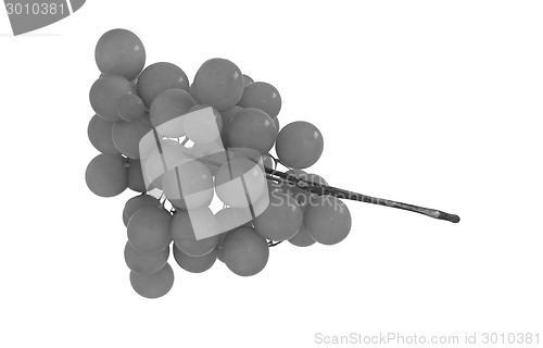 Image of Grapes