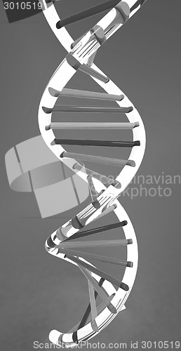 Image of DNA structure model