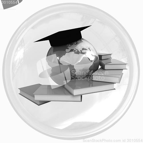 Image of Global Education button