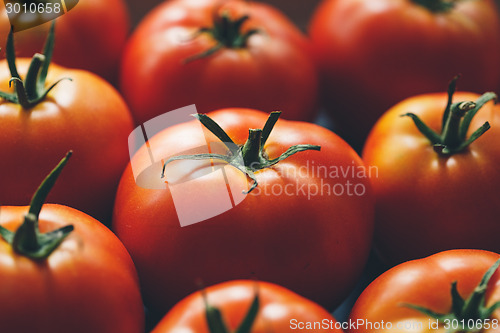 Image of Ripe tomatoes