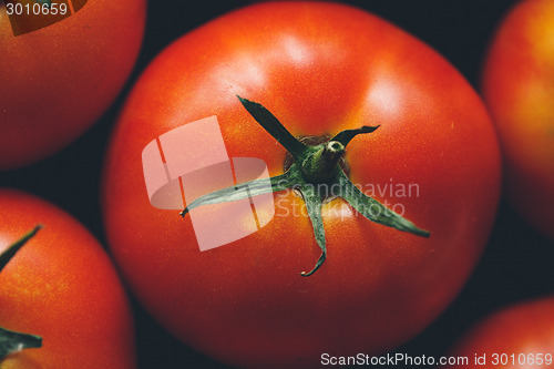 Image of Ripe tomatoes