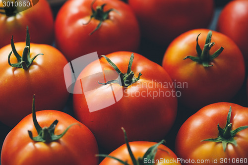 Image of Ripe tomatoes