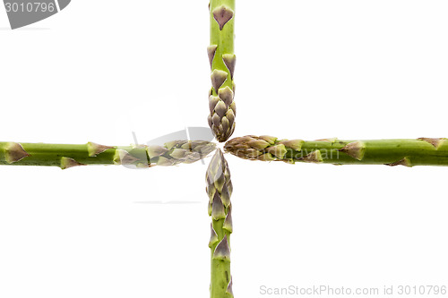 Image of Four Asparagus Spears Meeting in the Middle
