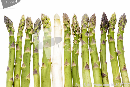 Image of One White Asparagus Spear Among Twelve Green Ones