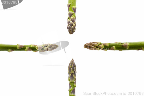 Image of Four Green Asparagus Tips Pointing at Central Void