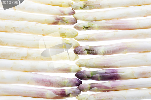 Image of Wall Made of White Asparagus Spears
