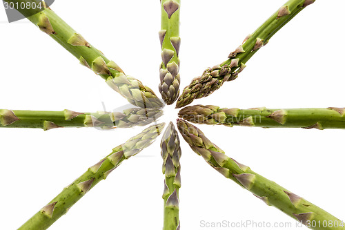 Image of Eight Asparagus Spears Define the Center