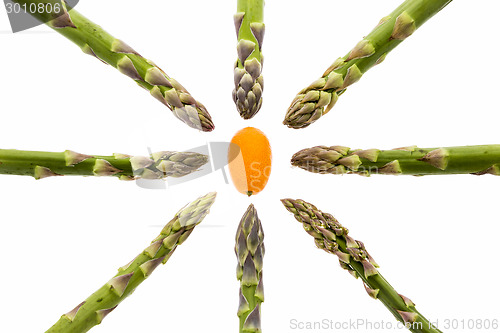 Image of Eight Asparagus Spears Aiming at One Kumquat