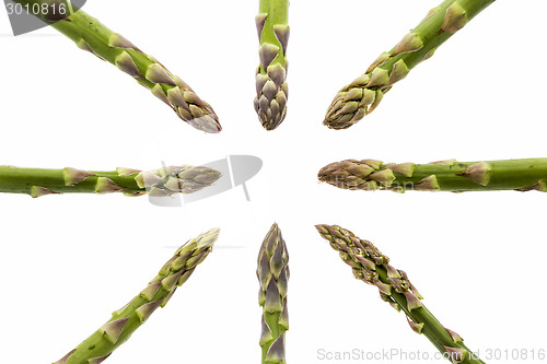 Image of Eight Asparagus Spears Pointing at the Middle