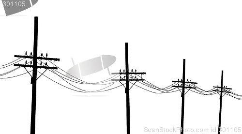Image of Telegraph poles