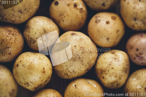 Image of Fresh potato tubers