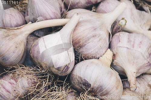 Image of Heads of garlic