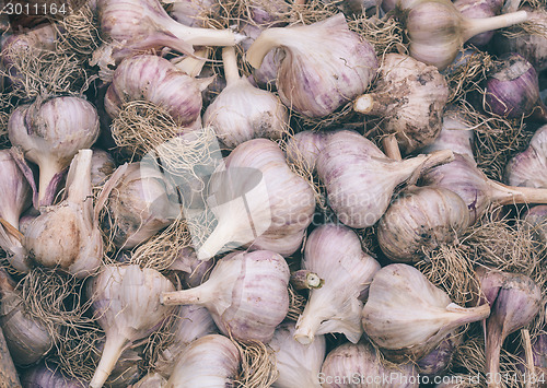 Image of Heads of garlic