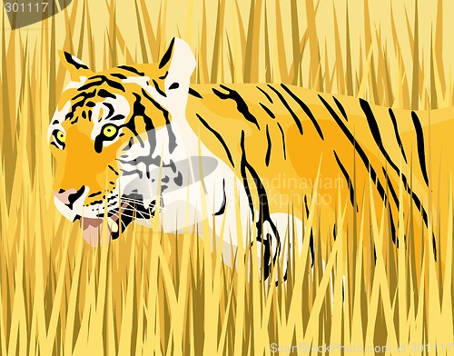 Image of Tiger