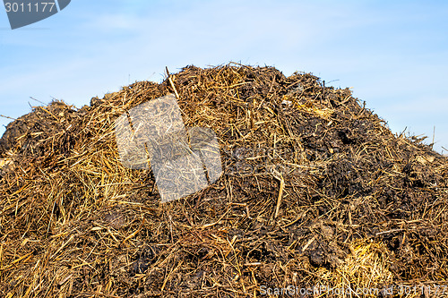 Image of dung hill