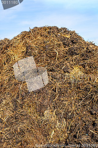 Image of dung hill