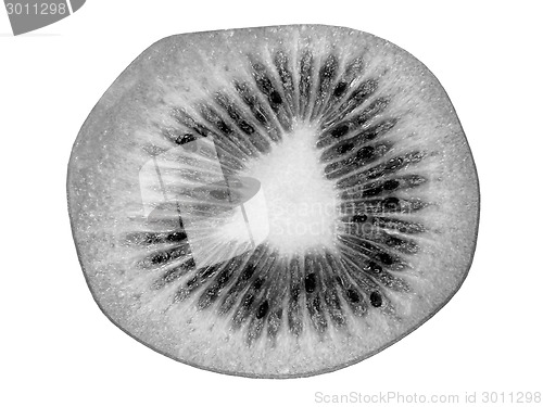 Image of slices of kiwi