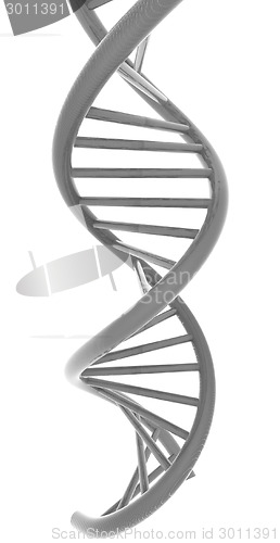 Image of DNA structure model 