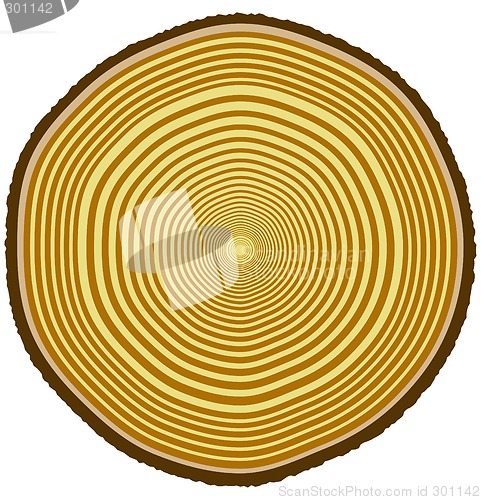Image of Tree rings