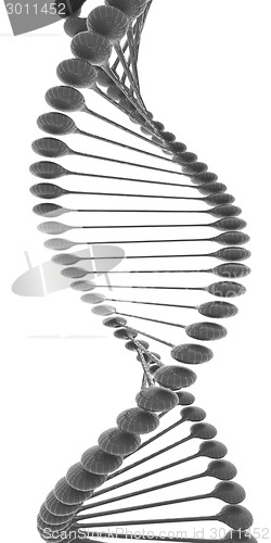 Image of DNA structure model 