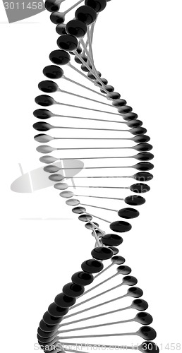 Image of DNA structure model 