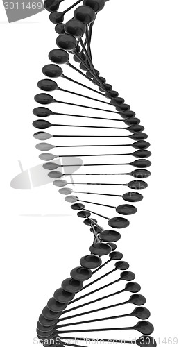Image of DNA structure model 