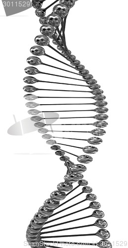 Image of DNA structure model 